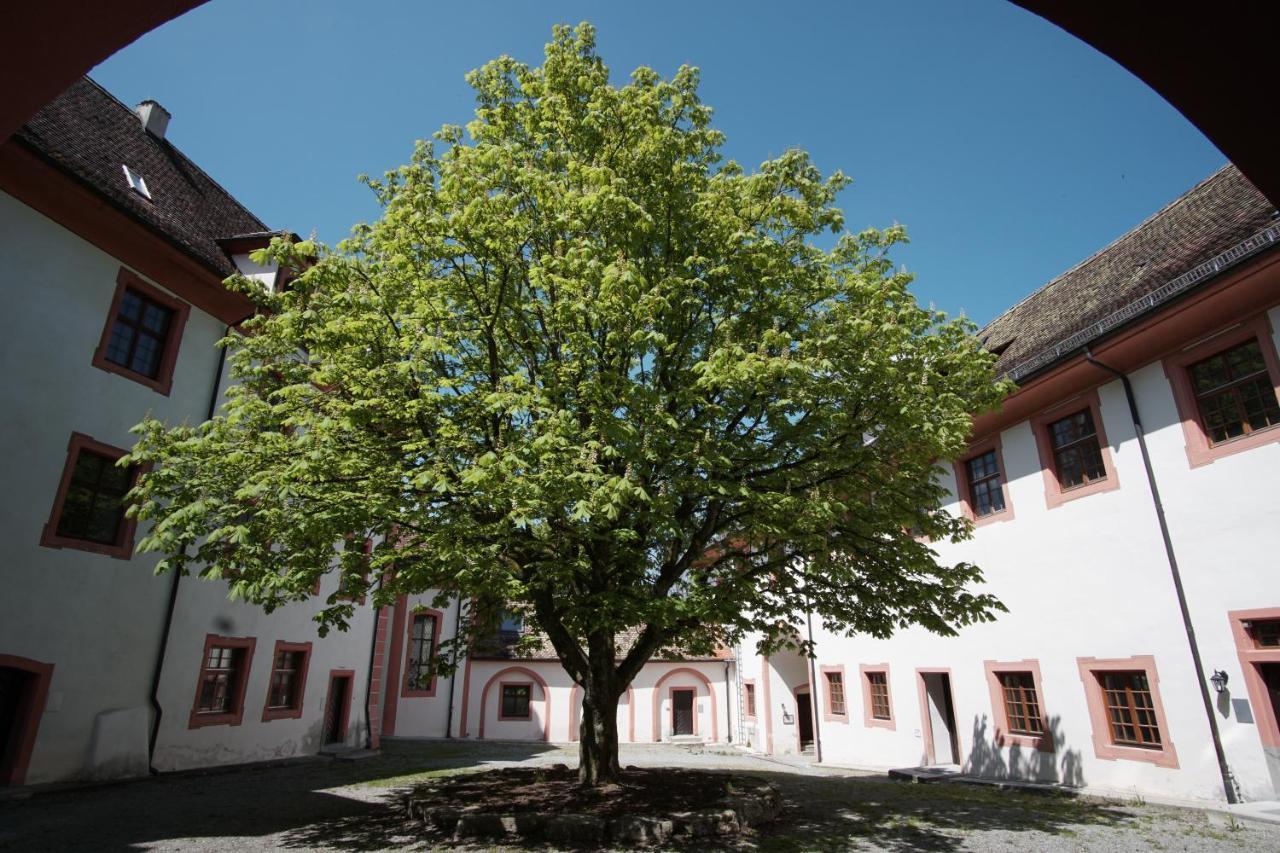 Hotel & Tagungszentrum Schloss Hohenfels Hohenfels  Екстер'єр фото