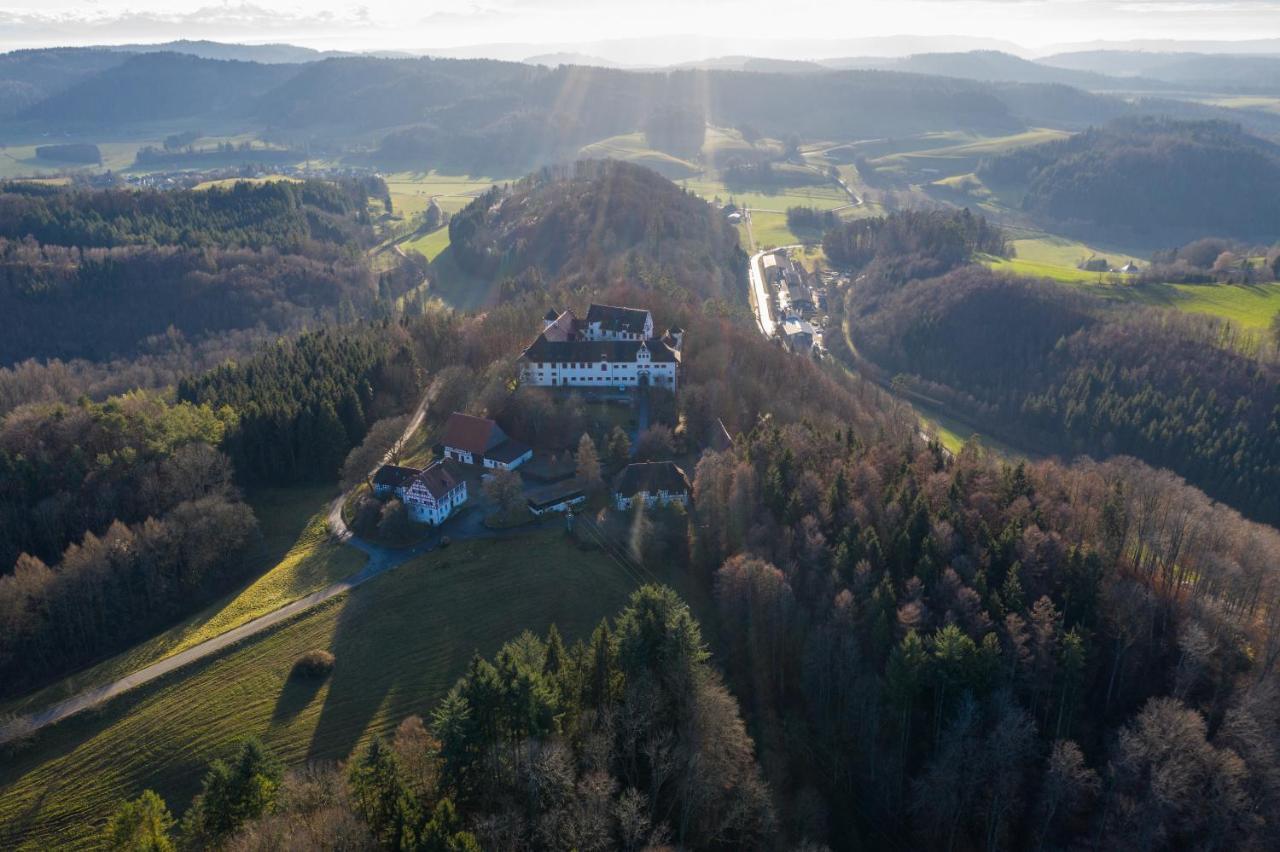 Hotel & Tagungszentrum Schloss Hohenfels Hohenfels  Екстер'єр фото