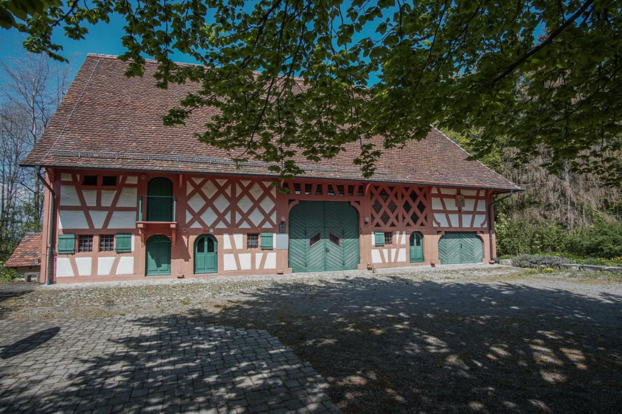 Hotel & Tagungszentrum Schloss Hohenfels Hohenfels  Екстер'єр фото