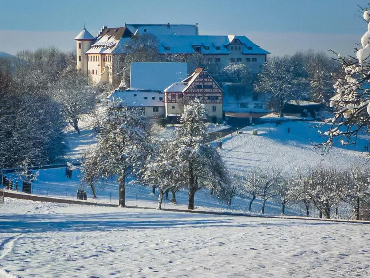 Hotel & Tagungszentrum Schloss Hohenfels Hohenfels  Екстер'єр фото