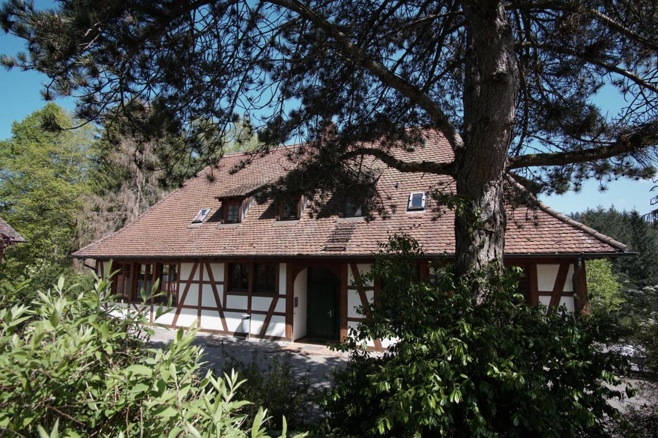 Hotel & Tagungszentrum Schloss Hohenfels Hohenfels  Екстер'єр фото