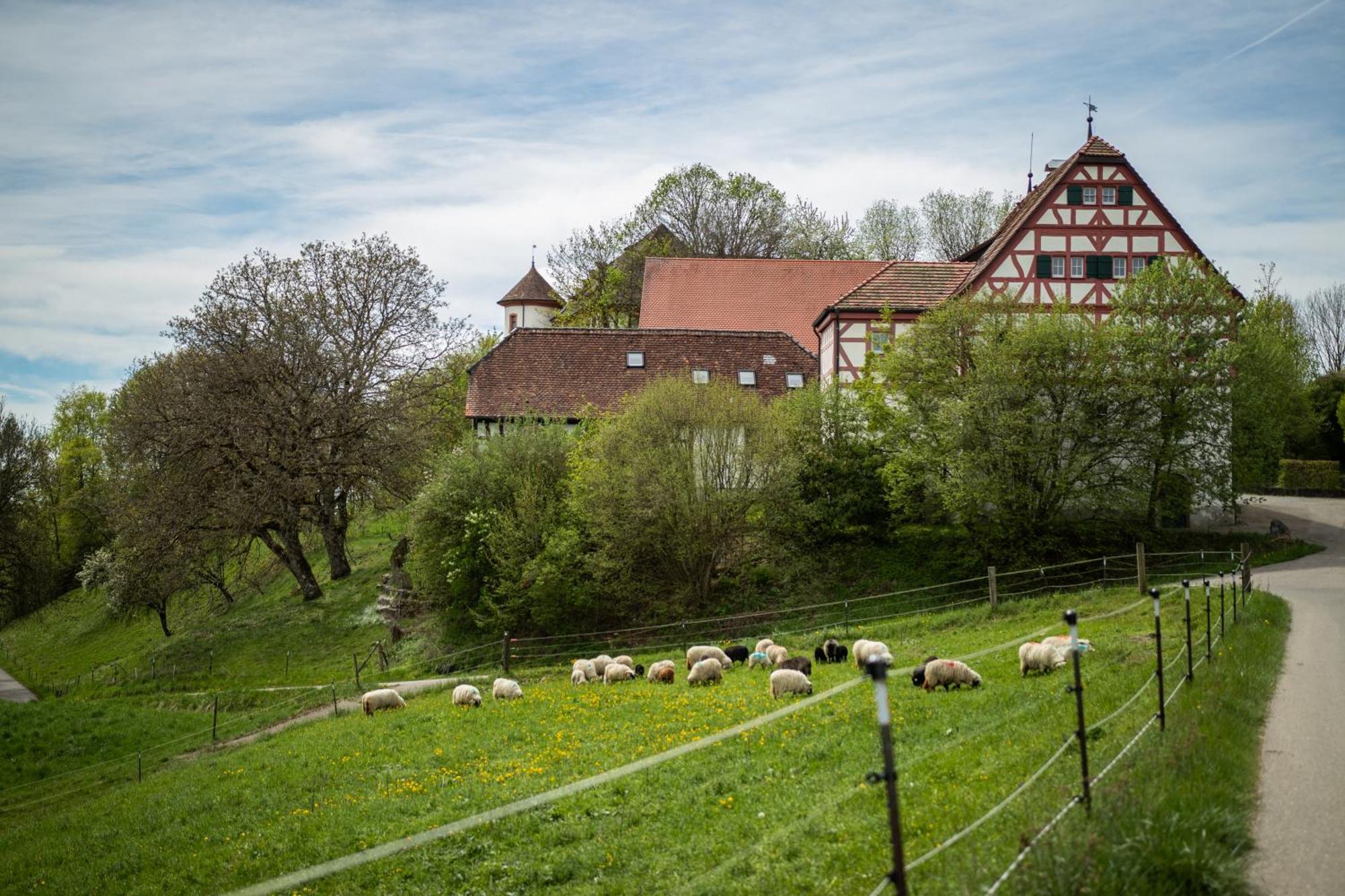 Hotel & Tagungszentrum Schloss Hohenfels Hohenfels  Екстер'єр фото